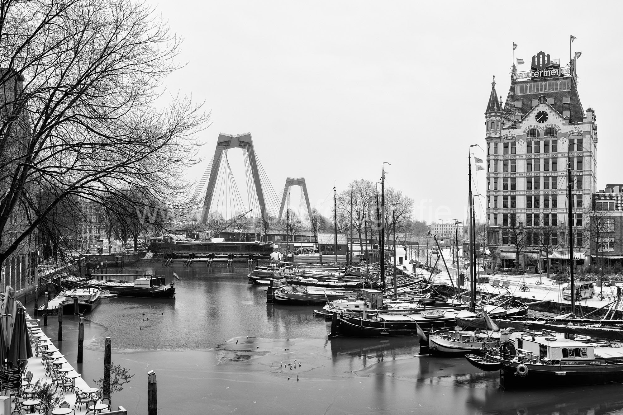 11 Mooiste foto's van Rotterdam - De Rooij Fotografie